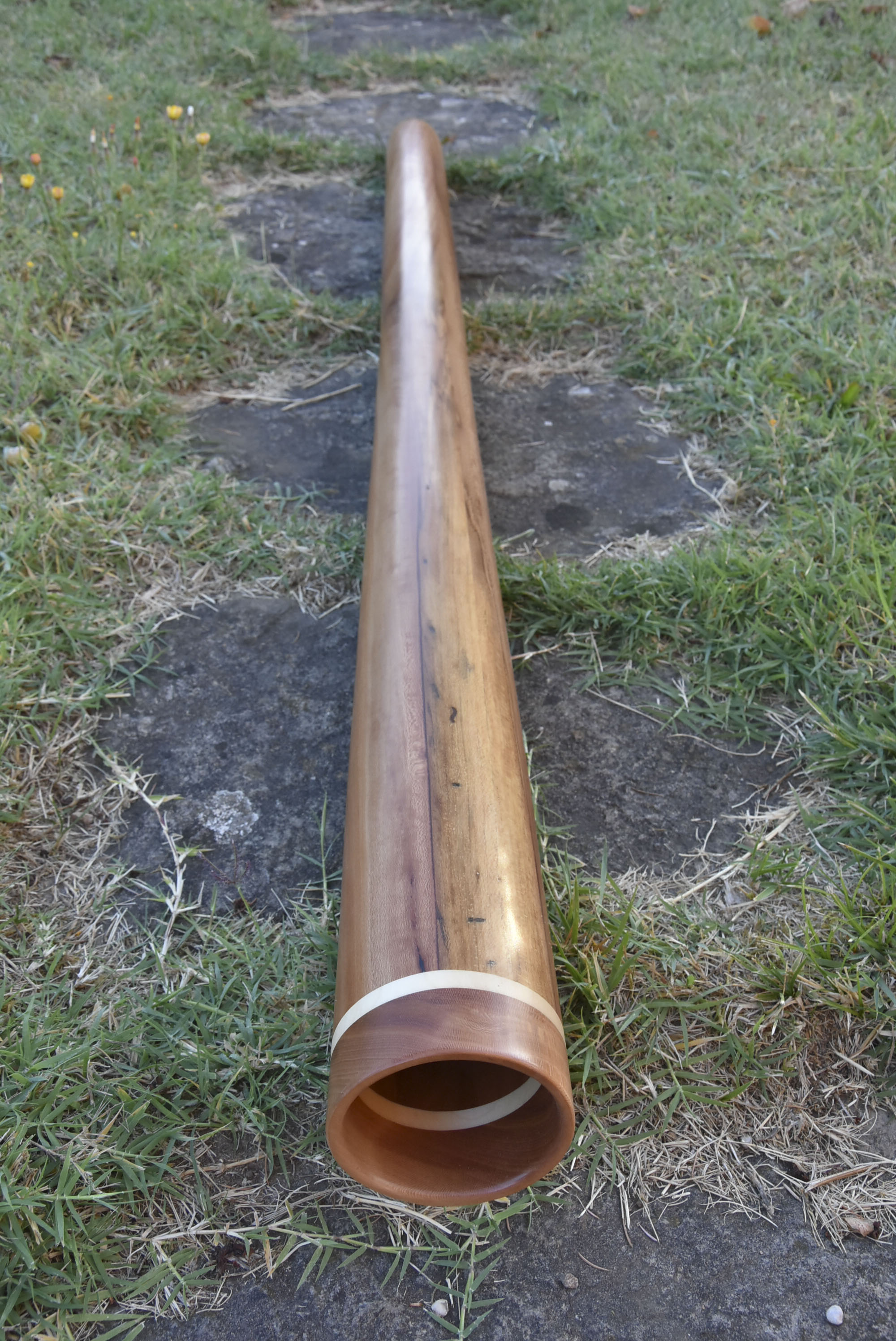 Didgeridoo nommé Iroré, en Ré, tout droit, fabriqué en bois de platane avec un anneau d’érable et de platane à la cloche